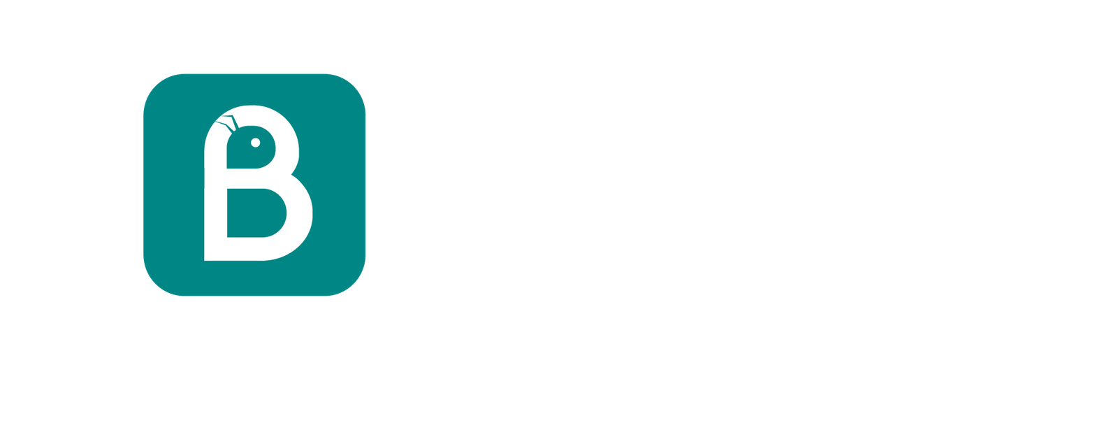 Brillant logo white-1